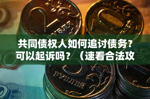 济南共同债权人如何追讨债务？可以起诉吗？（速看合法攻略）