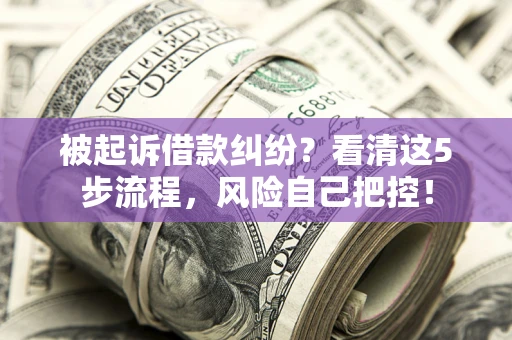 济南被起诉借款纠纷？看清这5步流程，风险自己把控！
